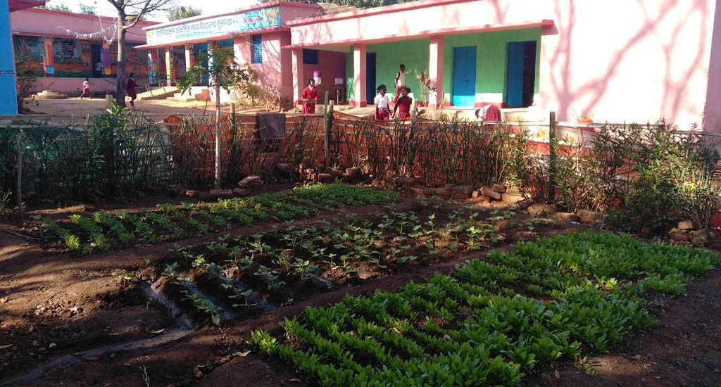 Nutrition Gardens Help Students Learn Better And Eat Better Vikalp Sangam nutrition-gardens-help-students-learn-better-and-eat-better-vikalp-sangam